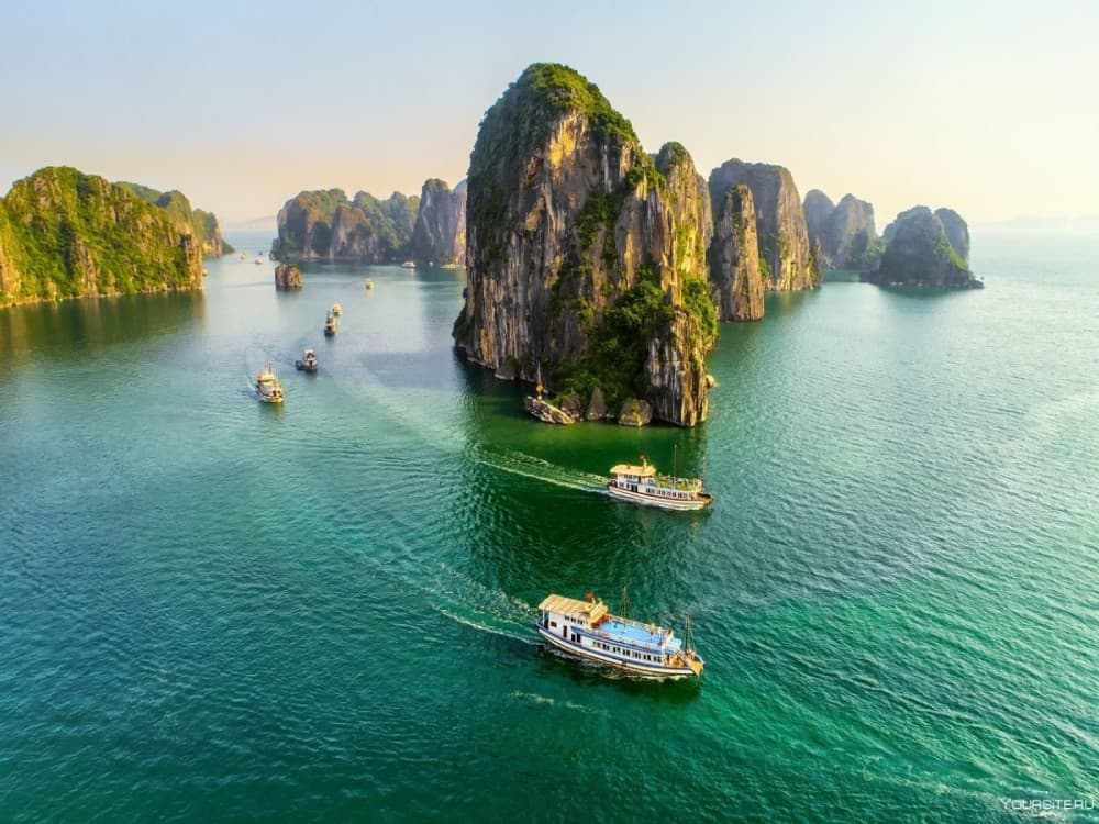 Ha-Long : Top 5 Must-Do Activities in Ha Long Bay for First-Time Visitors | ®ExcursionMania
