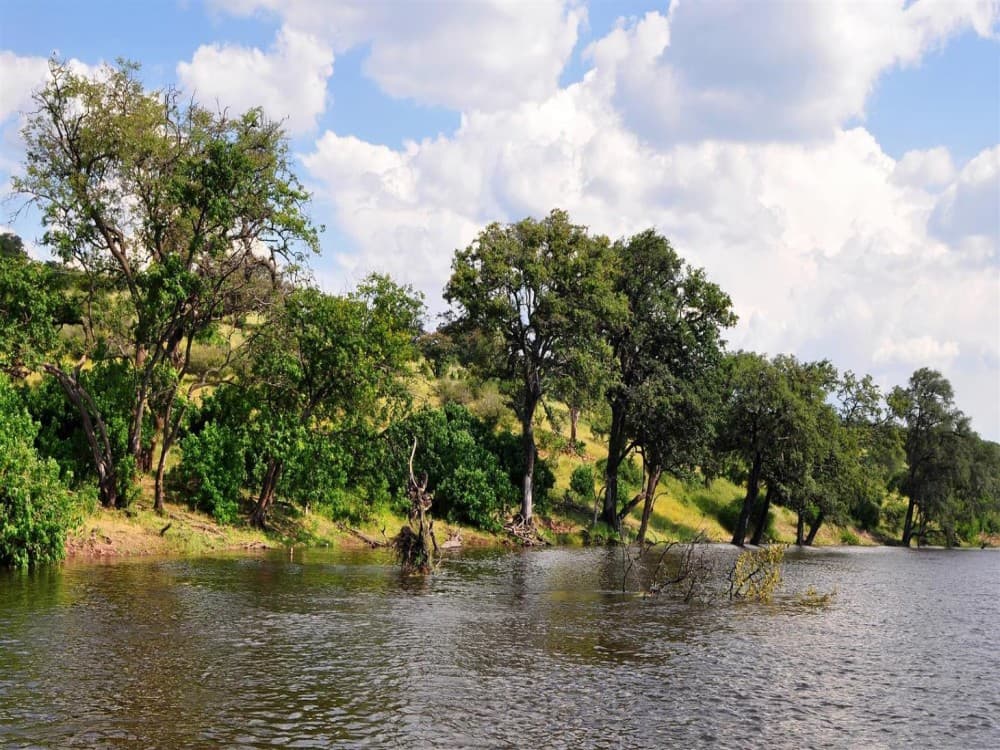 Kasane: The Ultimate Kasane Travel Itinerary for Nature Lovers | ®ExcursionMania