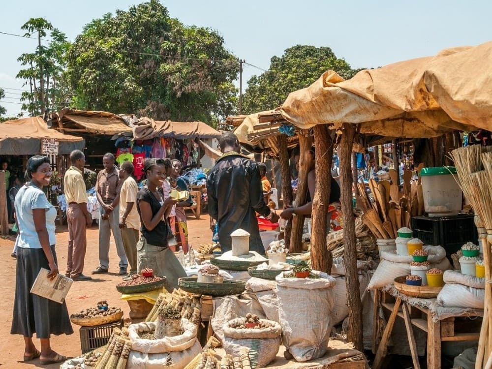 Livingstone: A Cultural Tour of Livingstone: Museums, Villages & Local Traditions | ®ExcursionMania