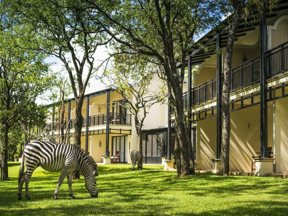 Livingstone: Top 10 Things to Do in Livingstone for an Unforgettable Adventure | ®ExcursionMania