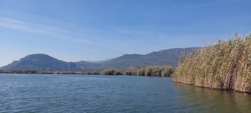Marmaris: Dalyan Turtle Beach Tour with Mud Bath & Lunch | ®ExcursionMania