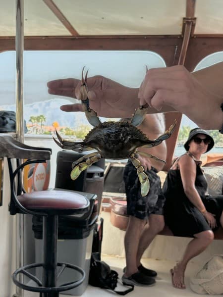 Marmaris: Dalyan Turtle Beach Tour with Mud Bath & Lunch | ®ExcursionMania