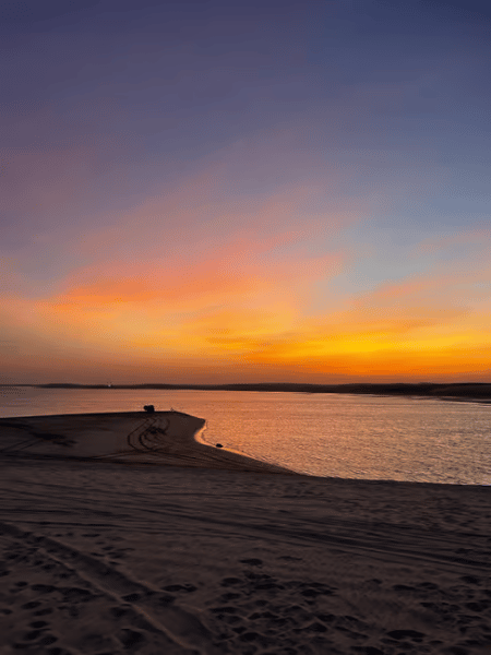 Doha: Desert Safari w/ Quad Bike Sandboarding  Camel Ride | ®ExcursionMania - Image 1