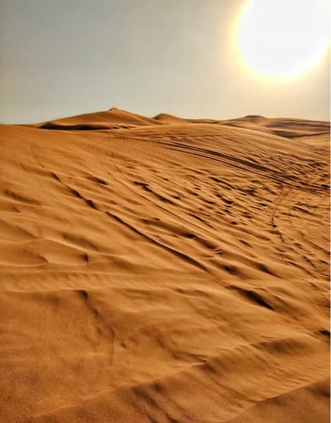 Dubai: Quad Bike Safari, Camels & Al Khayma Camp BBQ Dinner | ®ExcursionMania