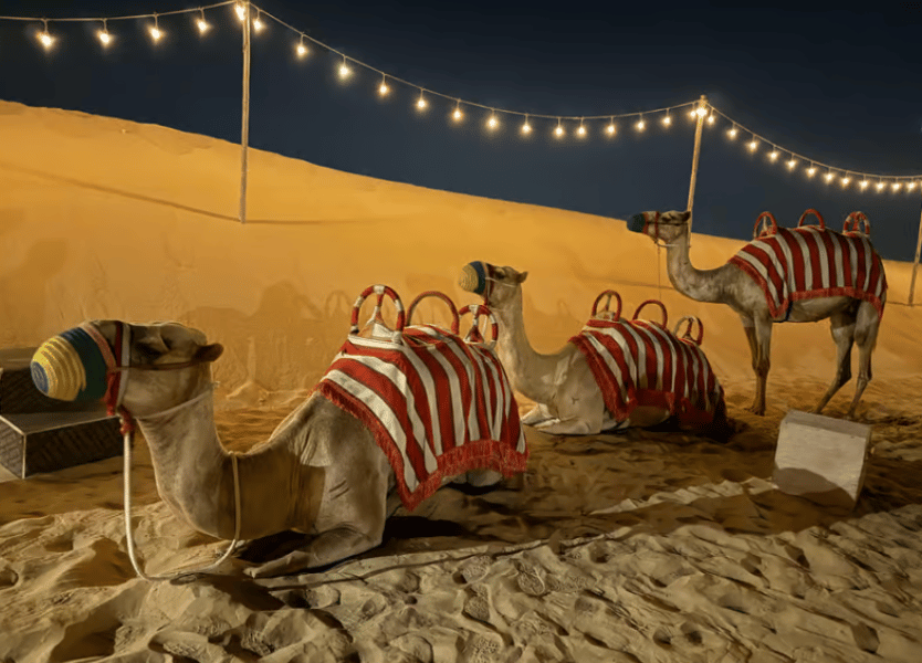 Dubai: Quad Bike Safari, Camels & Al Khayma Camp BBQ Dinner | ®ExcursionMania