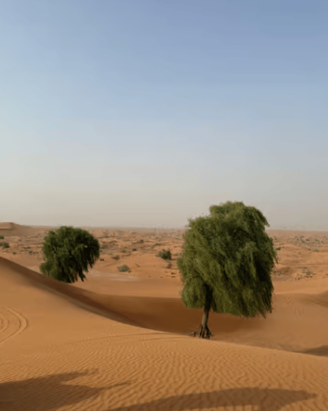 Dubai: Quad Bike Safari, Camels & Al Khayma Camp BBQ Dinner | ®ExcursionMania