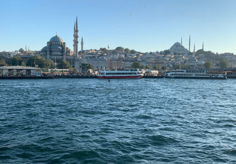 Istanbul: Bosphorus Sightseeing Cruise with Sunset Option | ®ExcursionMania - Image 2
