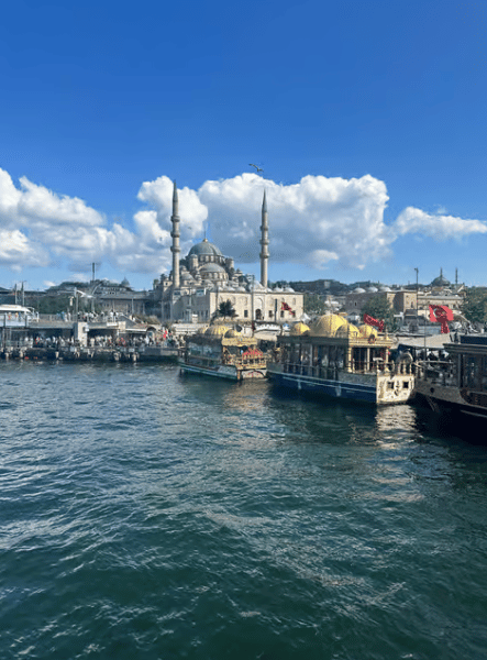 Istanbul: Bosphorus Sightseeing Cruise with Sunset Option | ®ExcursionMania - Image 1