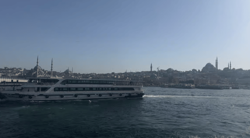 Istanbul: Bosphorus Sightseeing Cruise with Sunset Option | ®ExcursionMania