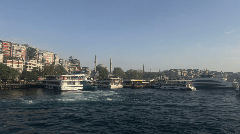 Istanbul: Bosphorus Sightseeing Cruise with Sunset Option | ®ExcursionMania