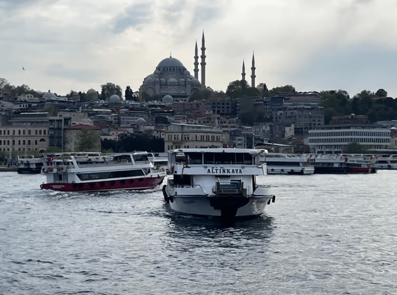 Istanbul: Bosphorus Sightseeing Cruise with Sunset Option | ®ExcursionMania