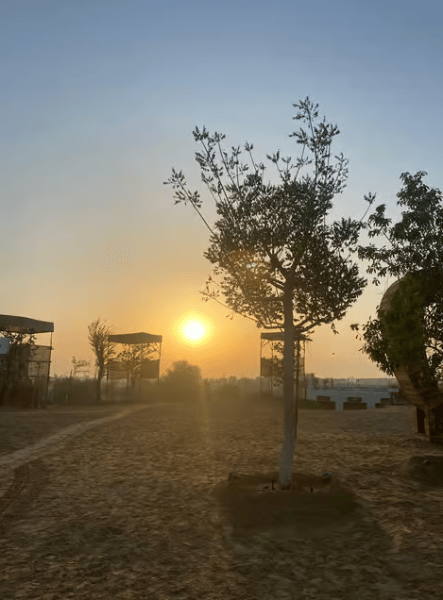 Dubai: Overnight Safari, Dinner, Stargazing & Al Khayma Camp | ®ExcursionMania - Image 4