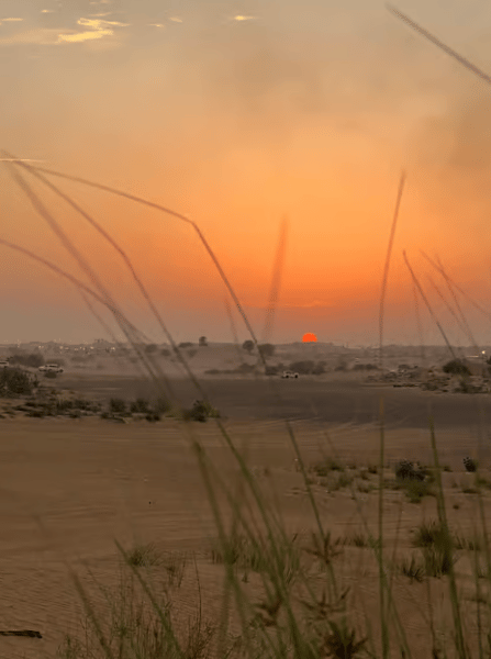 Dubai: Overnight Safari, Dinner, Stargazing & Al Khayma Camp | ®ExcursionMania