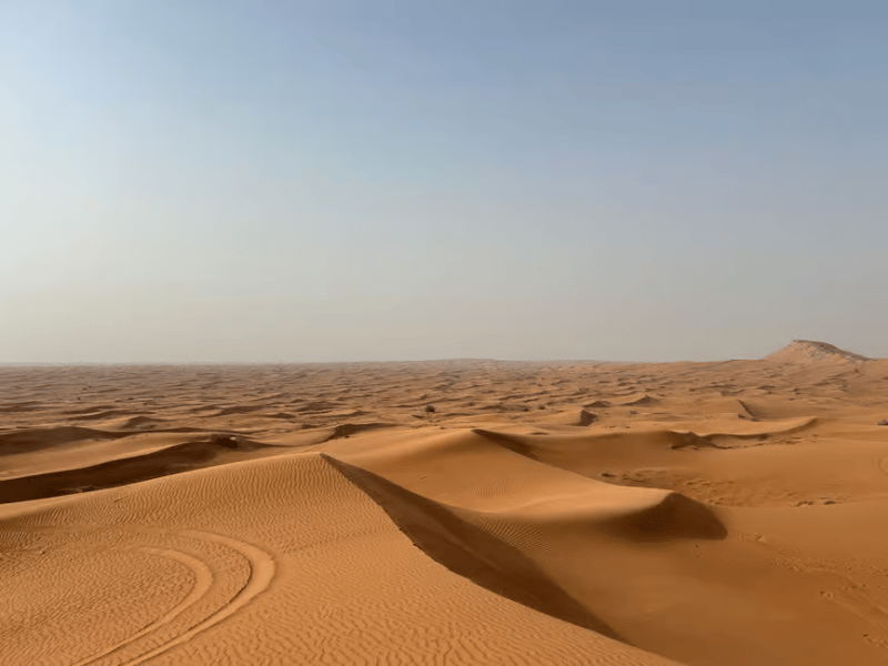 Dubai: Desert Safari, Quad Bike, Sandboarding, Camels & BBQ | ®ExcursionMania