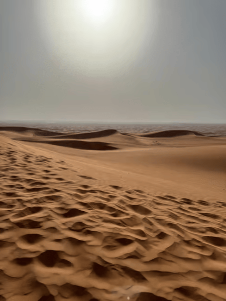 Dubai: Desert Safari, Quad Bike, Sandboarding, Camels & BBQ | ®ExcursionMania