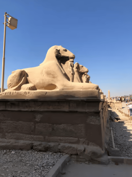 Marsa Alam: Valley of the Kings & Karnak Temples Luxor Tour | ®ExcursionMania