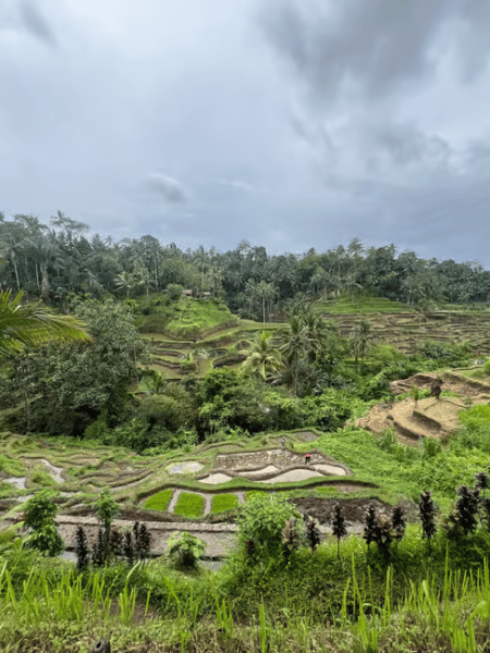 Bali: Full-Day Instagram Highlights Tour | ®ExcursionMania - Image 1