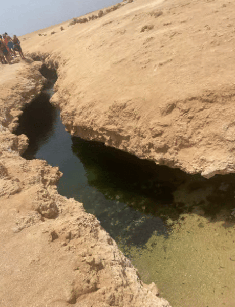 Sharm El-Sheikh : Ras Mohamed Half Day Tour & Allah's gate | ®ExcursionMania - Image 1