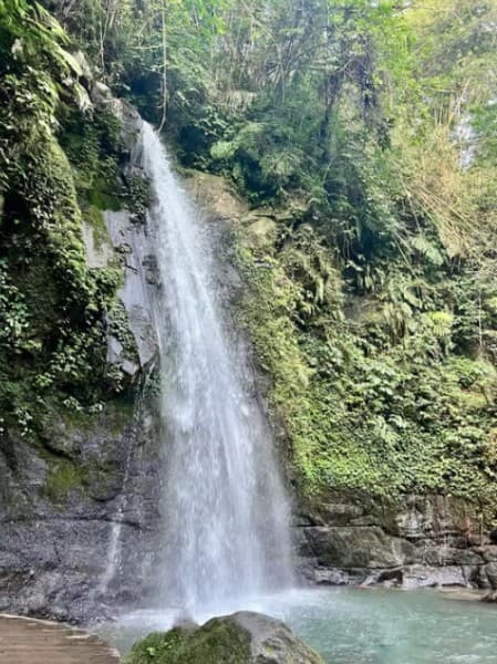 Ubud: All-Inclusive Tour with Optional Lunch | ®ExcursionMania - Image 1