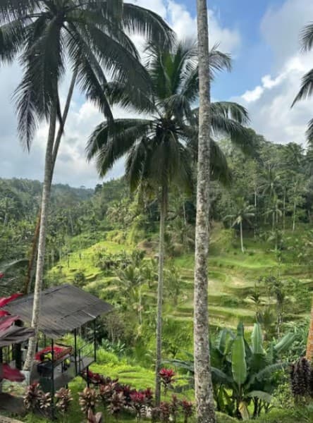 Ubud: All-Inclusive Tour with Optional Lunch | ®ExcursionMania - Image 4
