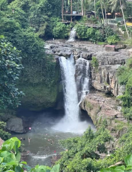 Ubud: All-Inclusive Tour with Optional Lunch | ®ExcursionMania