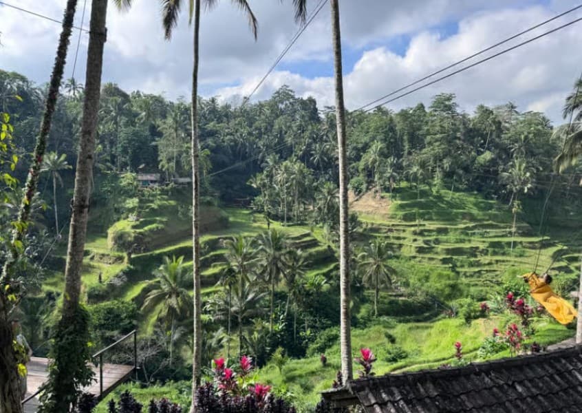 Ubud: All-Inclusive Tour with Optional Lunch | ®ExcursionMania
