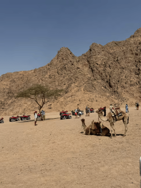 Sharm El Sheikh: ATV Dunes & Waves Adventure with Lunch | ®ExcursionMania - Image 1