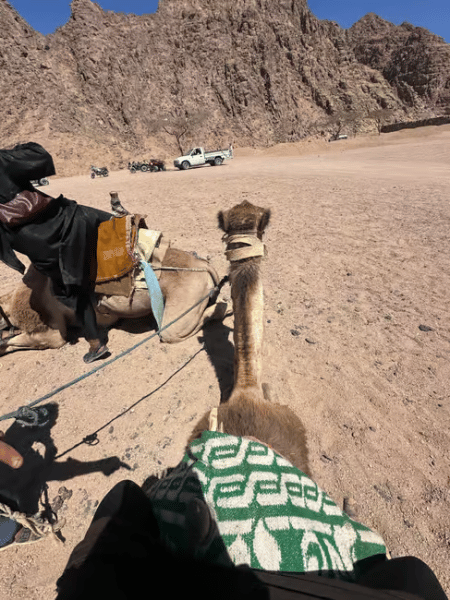 Sharm El Sheikh: ATV Dunes & Waves Adventure with Lunch | ®ExcursionMania - Image 2