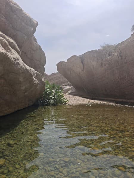 Muscat: Wadi Bani Khalid Oasis & Oman Desert Tour | ®ExcursionMania