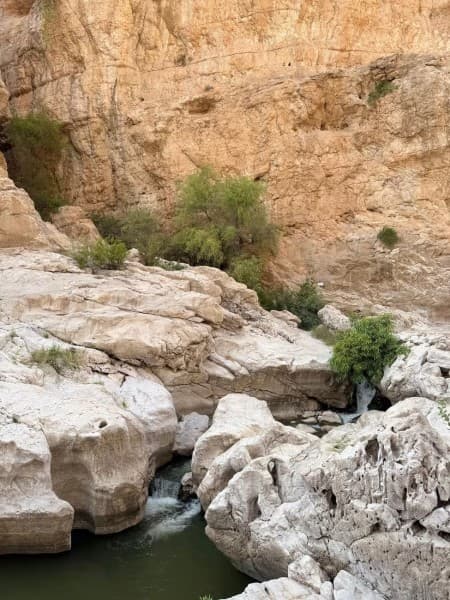 Muscat: Wadi Bani Khalid Oasis & Oman Desert Tour | ®ExcursionMania