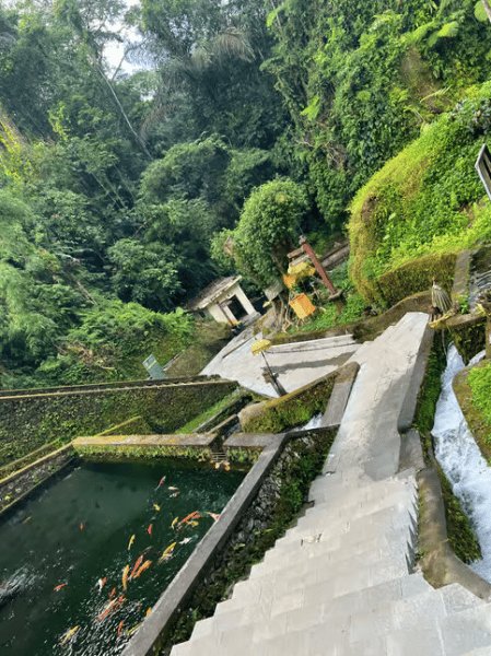 Tirta Empul: Temple Tour with Optional Spiritual Cleansing | ®ExcursionMania