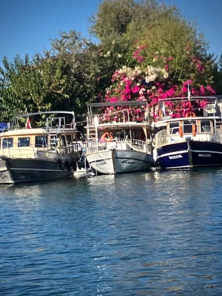 Bodrum Dalyan Tour With River Cruise & Mud Baths | ®ExcursionMania - Image 3