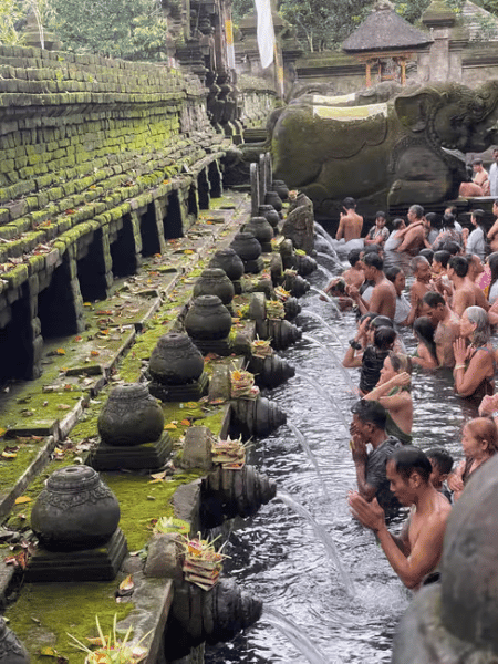 Bali: Customized Private Car Charter with Optional Guide | ®ExcursionMania - Image 1