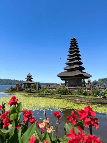 Bali: Customized Private Car Charter with Optional Guide | ®ExcursionMania