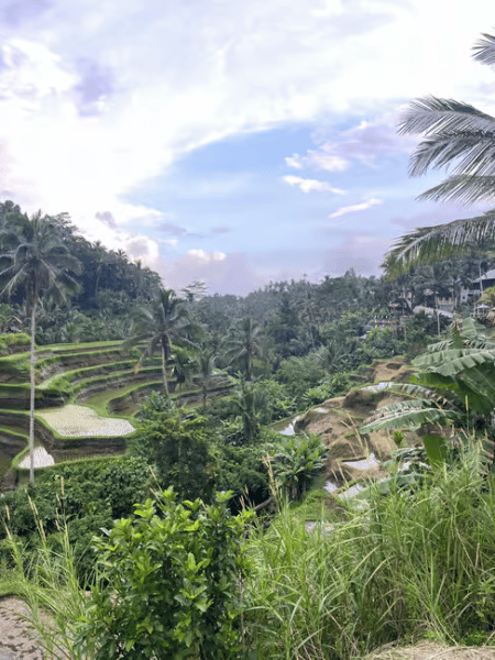 Bali: Customized Private Car Charter with Optional Guide | ®ExcursionMania - Image 3