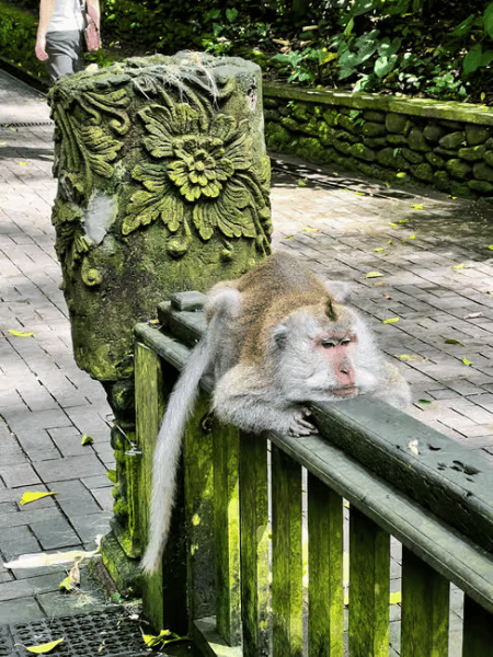 Bali: Customized Private Car Charter with Optional Guide | ®ExcursionMania - Image 4