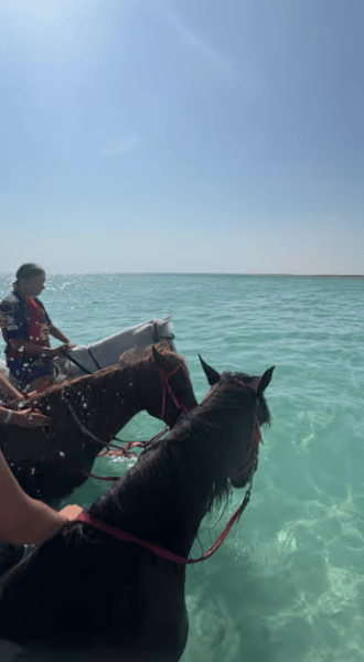 Hurghada: Desert & Sea Horse Riding Tour W/Optional Swimming | ®ExcursionMania - Image 4