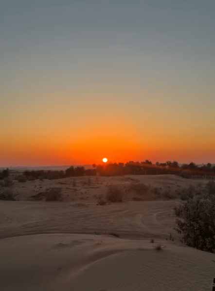 Dubai: Adventure Quad Bike Safari, Camel Ride & Refreshments | ®ExcursionMania