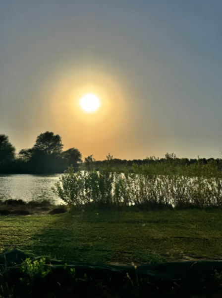 Dubai: Heritage Safari, Camel Ride & Al Marmoom Oasis Dinner | ®ExcursionMania - Image 1