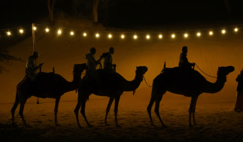 Dubai: Heritage Safari, Camel Ride & Al Marmoom Oasis Dinner | ®ExcursionMania