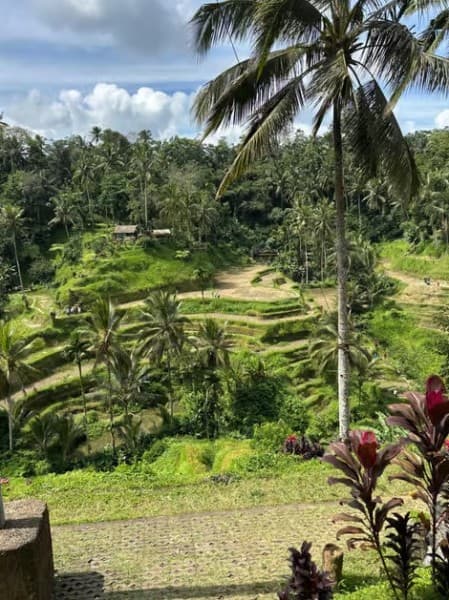 Bali: Swing with Falls Rice Terrace & Monkey Forest Option | ®ExcursionMania - Image 2