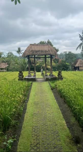 Bali: Swing with Falls Rice Terrace & Monkey Forest Option | ®ExcursionMania - Image 3