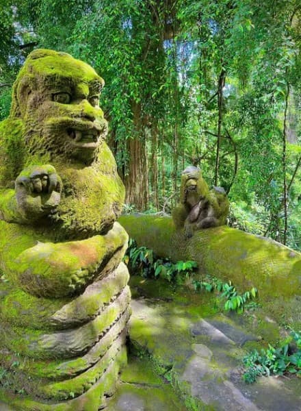 Bali: Swing with Falls Rice Terrace & Monkey Forest Option | ®ExcursionMania - Image 4