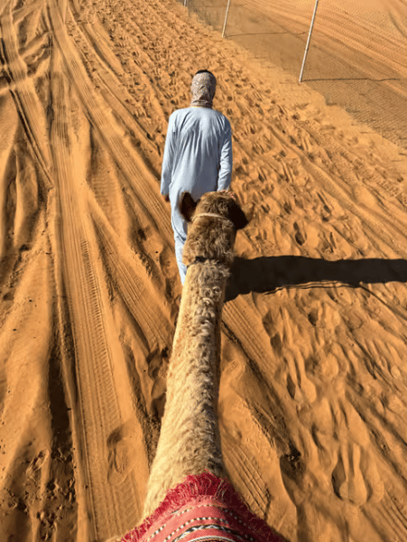Dubai: Adventure Dune Buggy Safari, Camel Ride & BBQ Dinner | ®ExcursionMania