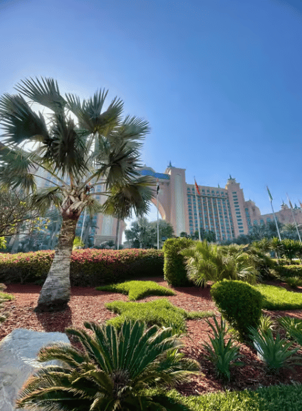 Dubai: Half-Day City Tour with Blue Mosque, Creek, and Souks | ®ExcursionMania - Image 4