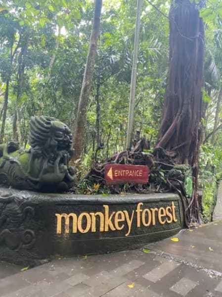 From Bali: Saraswati Temple Monkey Forest Ubud Waterfalls | ®ExcursionMania - Image 4
