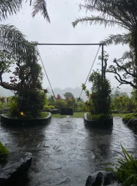 From Bali: Saraswati Temple Monkey Forest Ubud Waterfalls | ®ExcursionMania