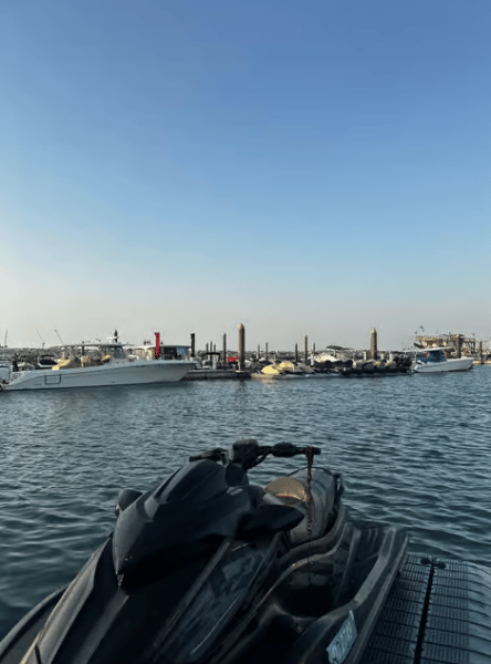 Dubai: Jetski, Burj Khalifa, Burj Al Arab, Juice, & Photos | ®ExcursionMania - Image 2