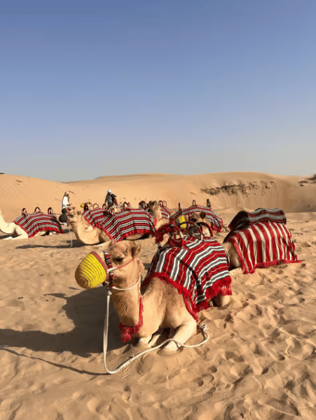 Dubai: Al Marmoom Oasis Camp Experience with Bedouin Dinner | ®ExcursionMania - Image 1