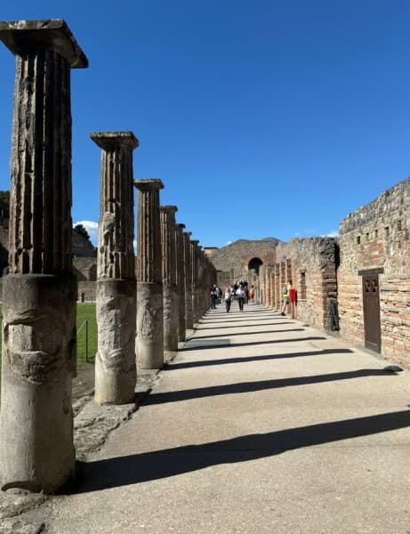 From Sorrento: Pompeii and Vesuvius Guided Tour with Lunch | ®ExcursionMania - Image 1